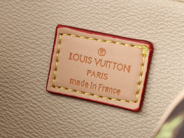 ルイヴィトンバッグ着用イメージ